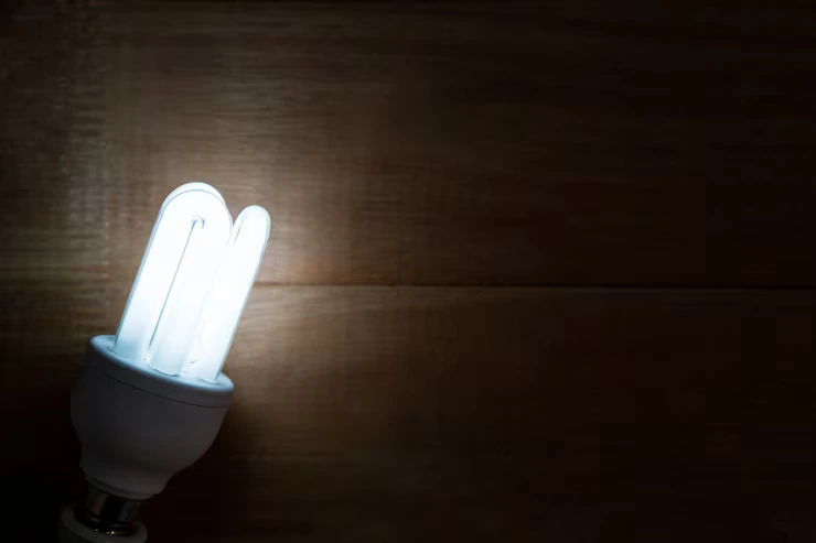 Energy-Efficient Lighting & Appliances