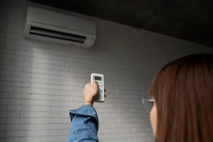 Indoor Air Quality & Wellness